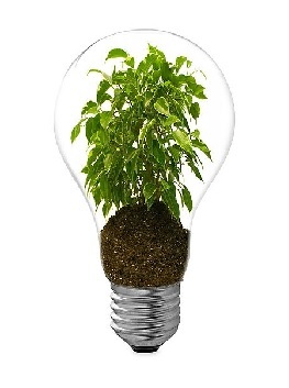 Plant_in_Lightbulb_Image